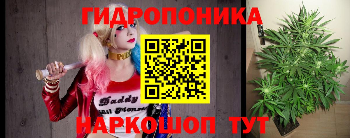 Бошки марихуана семена  МАРИХУАНА LSD WEED  Вход с VPN  Альметьевск 